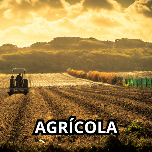 Agrícola